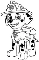 Paw Patrol kleurplaat 20
